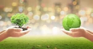 Hands on the left side holding a tree in palm and hands on right holding Earth in palms