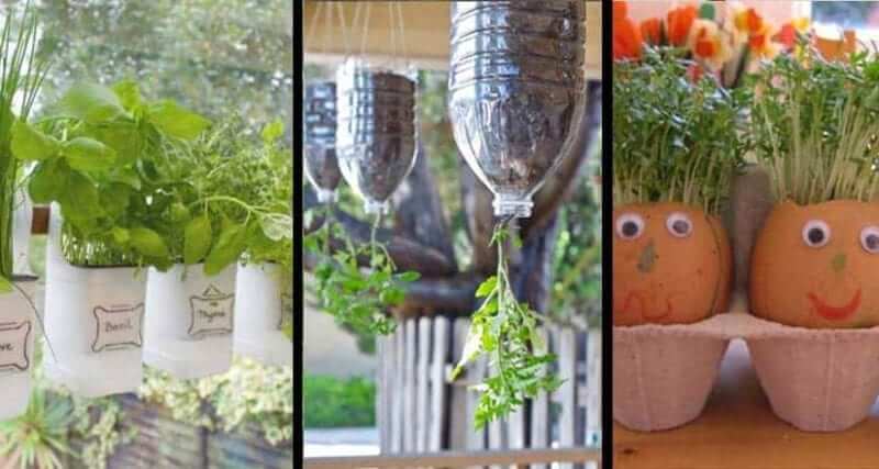 7 Garden Starter Ideas for Your Classroom