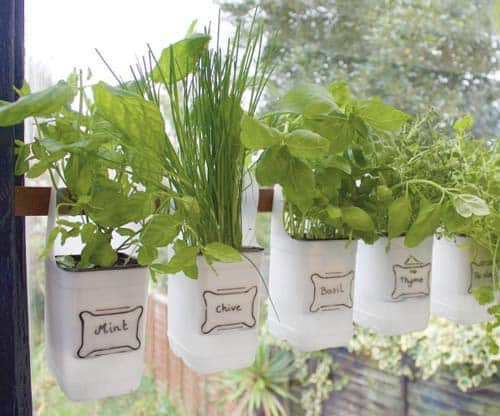 7 Garden Starter Ideas for Your Classroom