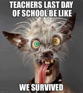 10 Teacher Memes for Surviving the Last Month of School