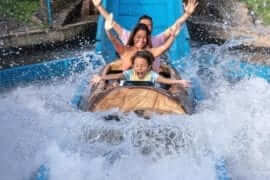 Family going down log flume with hands up
