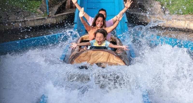 Family going down log flume with hands up