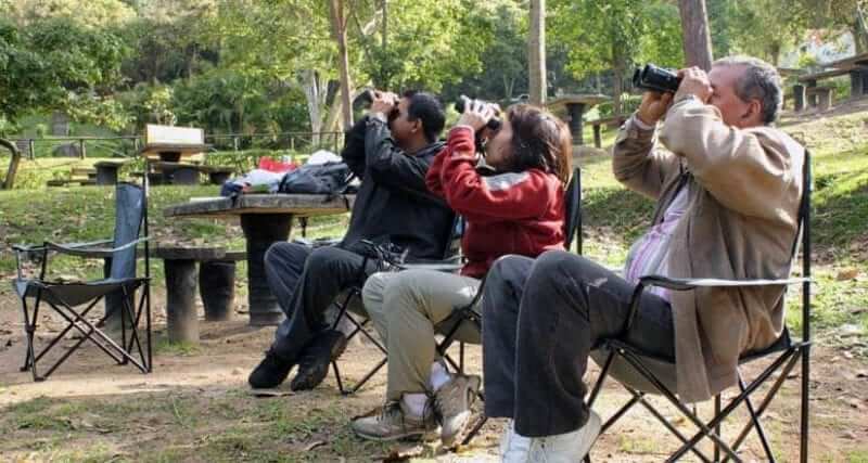 three people with binoculars looking at nature
