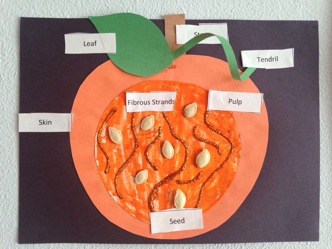 pumpkin craft with word labels made with construction paper and pumpkin seeds