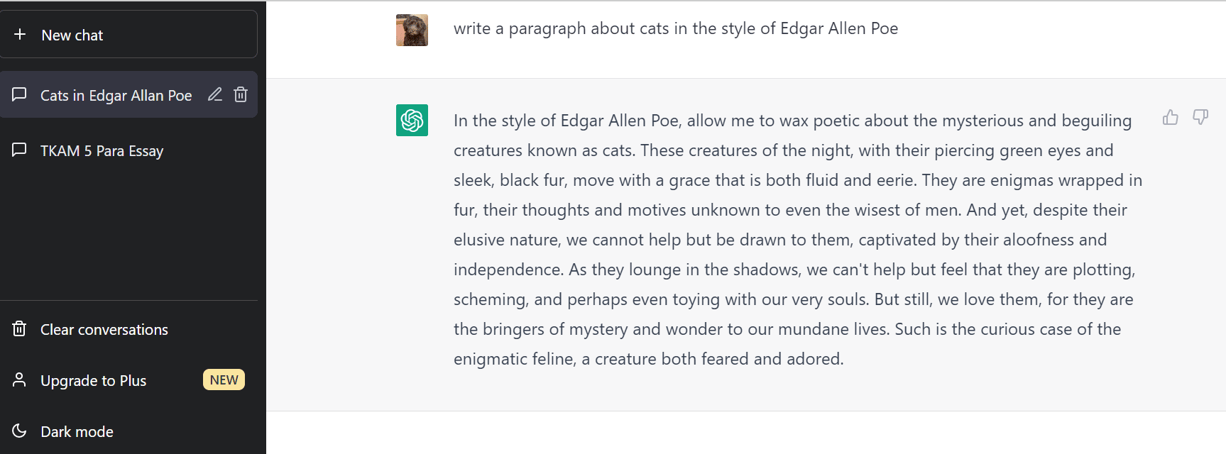 Chat GPT Edgar Allen Poe Example