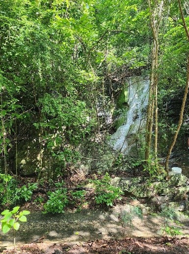 natural waterfall hidden in the woods