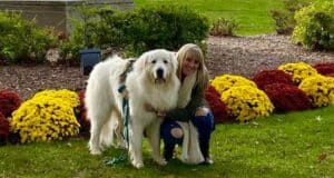 Teachers of New Jersey: Megan Meyer Kindergarten Teacher at Howell Township Public Schools